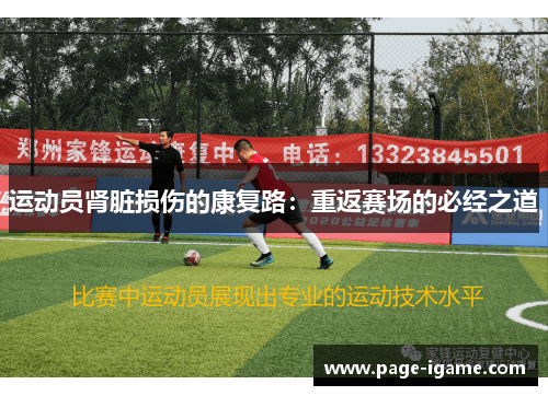 运动员肾脏损伤的康复路：重返赛场的必经之道