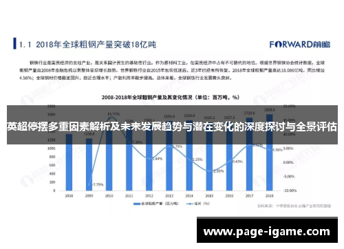英超停摆多重因素解析及未来发展趋势与潜在变化的深度探讨与全景评估 英超停摆多重因素解析及未来发展趋势与潜在变化的深度探讨与全景评估